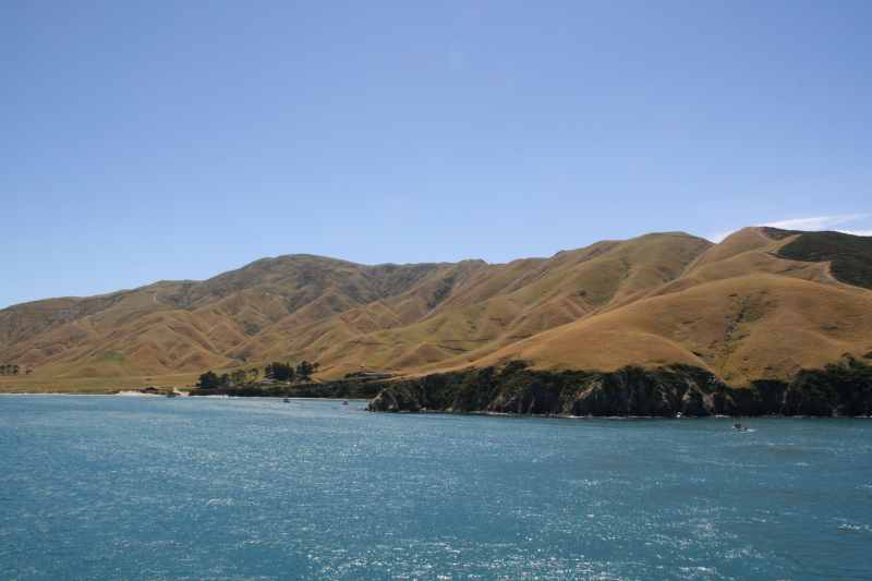 Nieuw-Zeeland 2011 - 0930